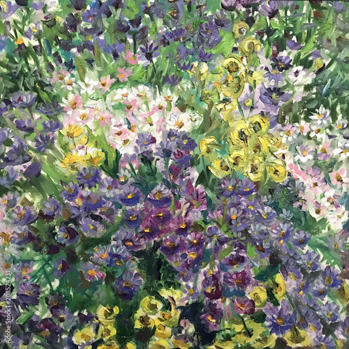 Drawing of camomile and cornflowers