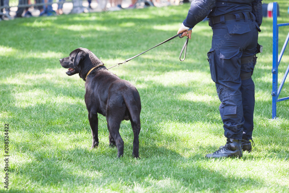 Policeman with police dog on duty Policeman with police dog on duty