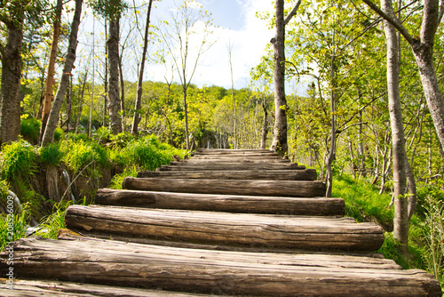 Weg durch die Natur