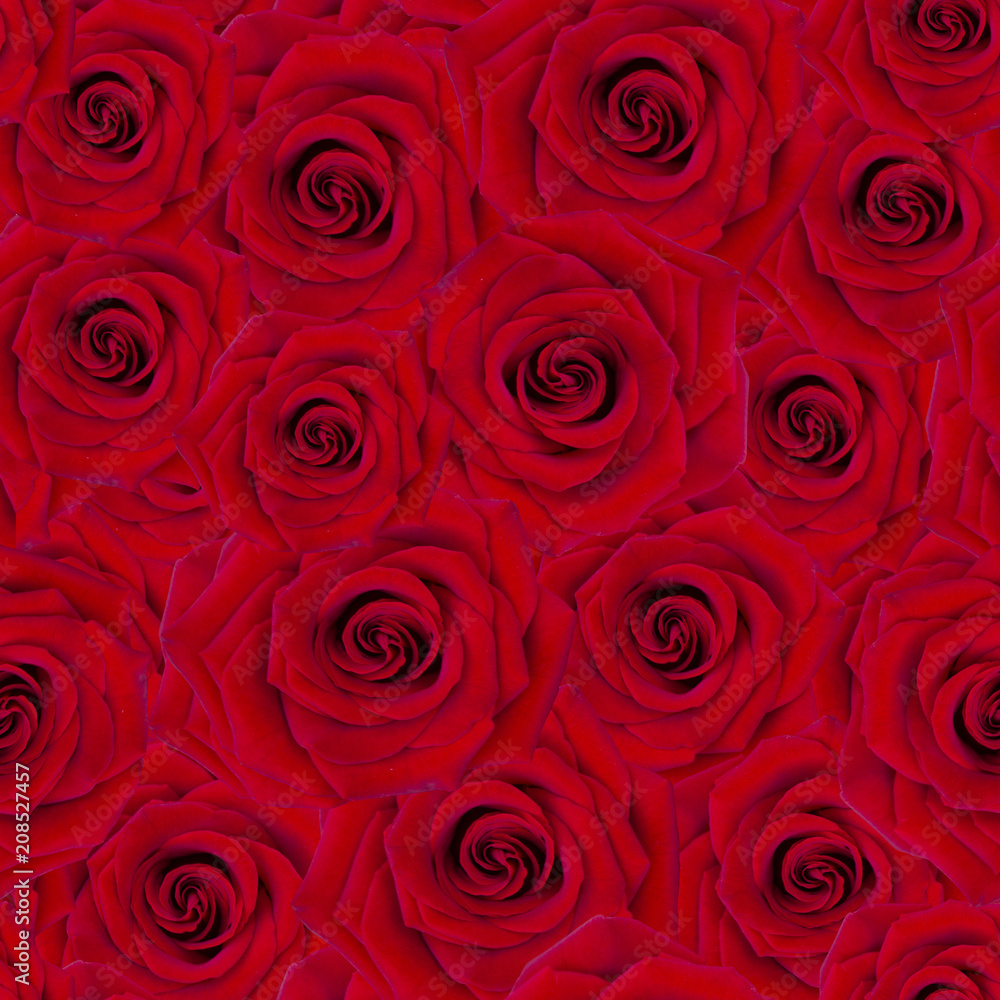 Seamless red roses background. Abstract flowers backdrop Seamless red roses background. Abstract flowers backdrop