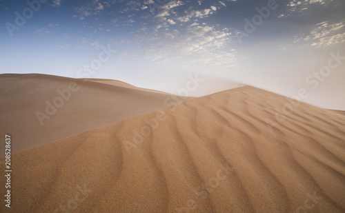 landscape of Liwa desert, part of the Empty Quarter desert