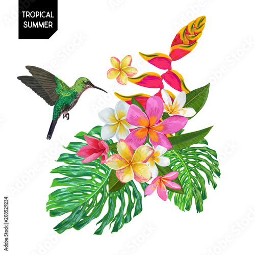 Summer Tropical Design with Hummingbird and Exotic Flowers. Floral Background with Tropic Bird, Plumeria and Monstera Palm Leaves. Vector illustration