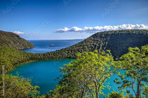 Fototapeta Naklejka Na Ścianę i Meble -  Trees and volcanic landscape of the Galapagos