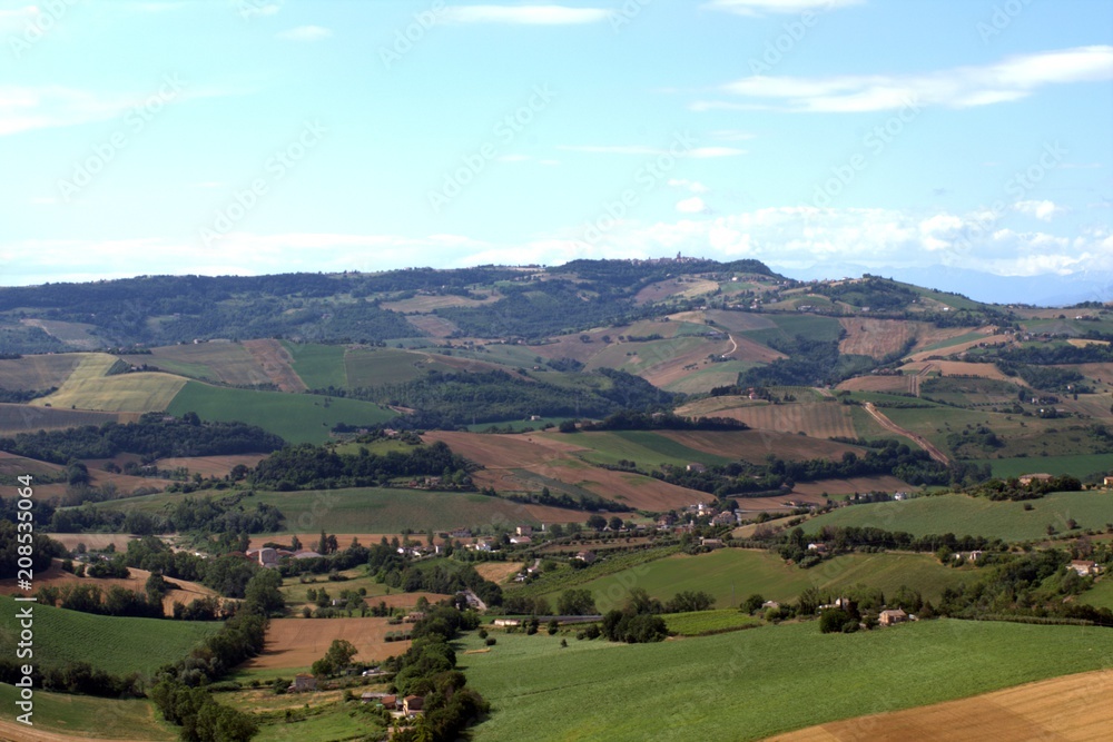 Marche,Italia,colline,campi coltivati,panorama,veduta,verde