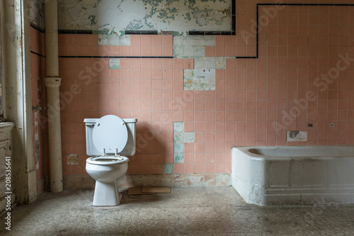 Pink tile and toilet