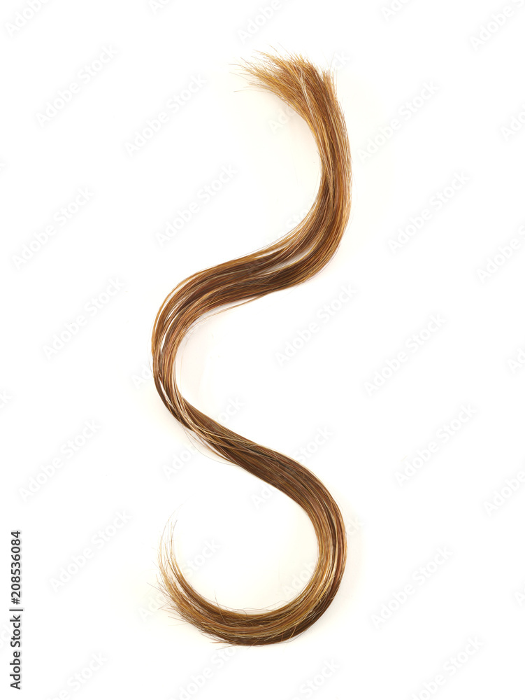 Brown hair swatch curl on a white background Brown hair swatch curl on a white background