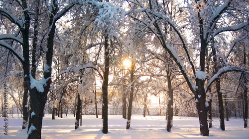 Beautiful sun flare shining in winter park through naked trees, everything is covered with snow, smooth camera steady shot. © railwayfx