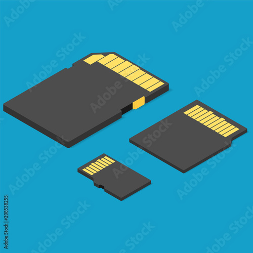 Memory card type size isometric. Data storage. Vector illustrati