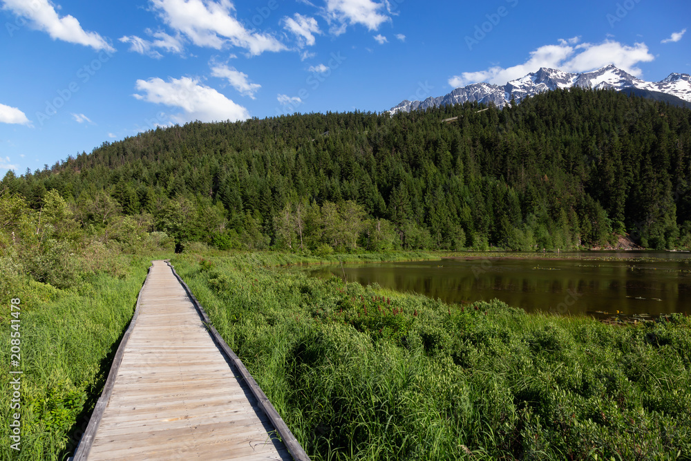 Wooden path in the park during a sunny day. Taken in One Mile Lake, Pemberton, British Columbia, Canada.