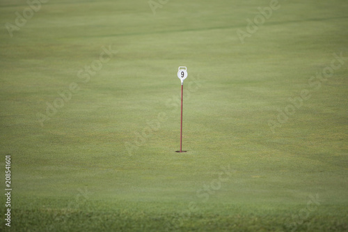 pennant in golf hole