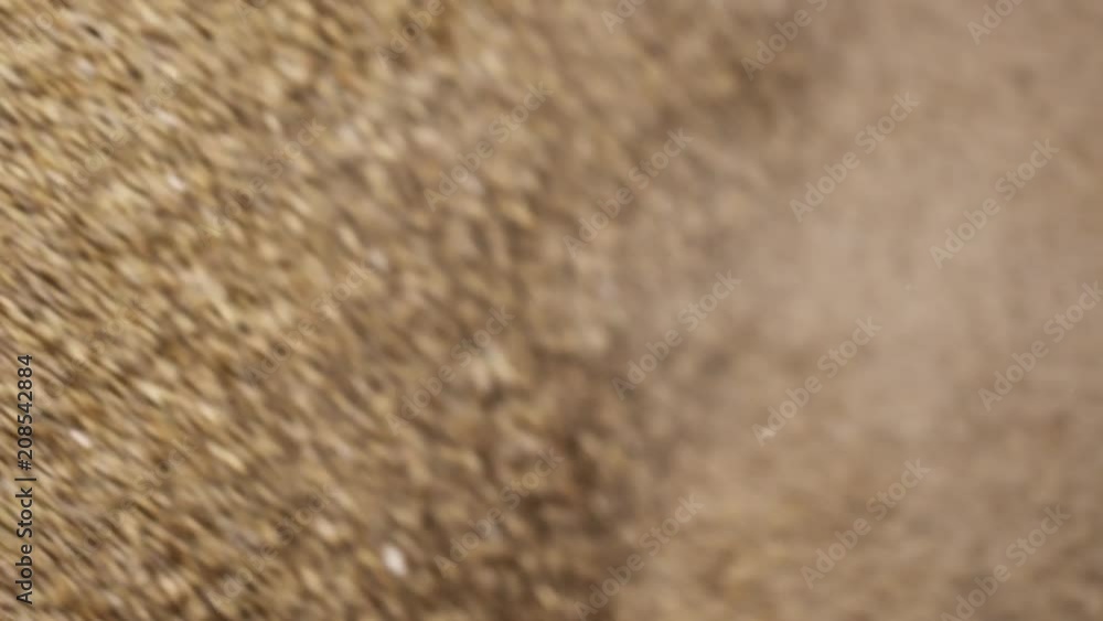 Farm processes. Crushed brown grain mills in modern milling machine through steel lattice Farm processes. Crushed brown grain mills in modern milling machine through steel lattice