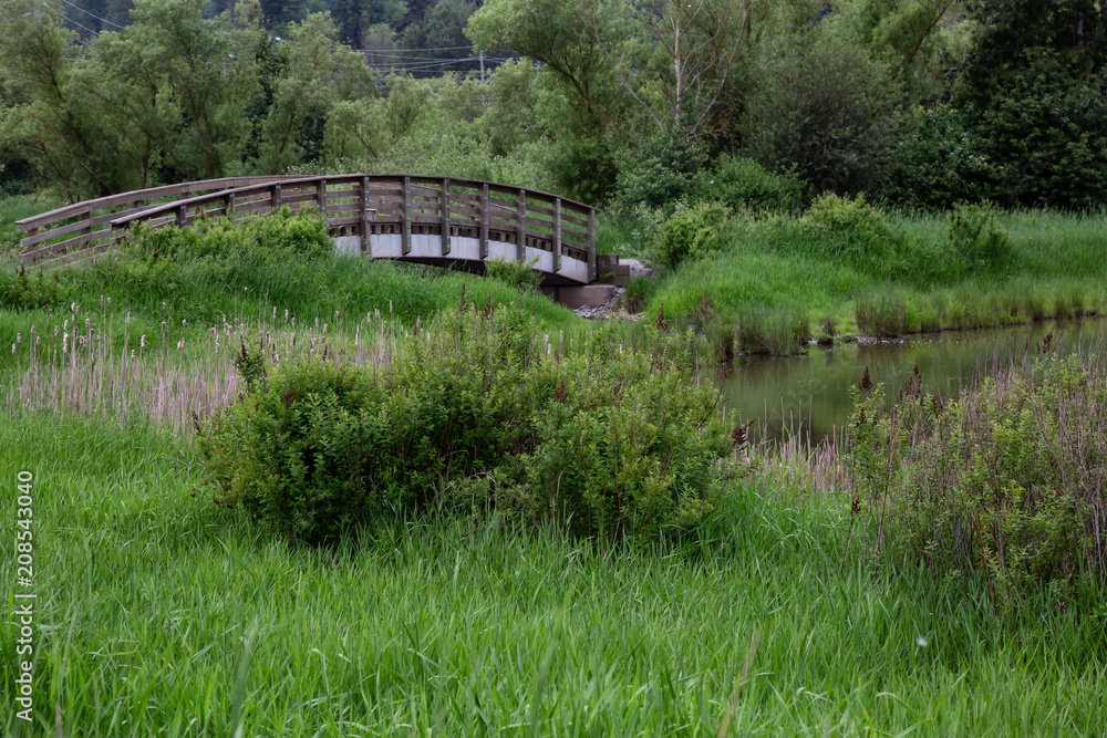 Wooden bridge across a river. Taken in Willband Creek Park, Abbotsford, British Columbia, Canada. Wooden bridge across a river. Taken in Willband Creek Park, Abbotsford, British Columbia, Canada.