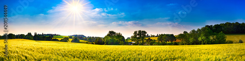 Panorama of a landscape with fields, meadows, trees and sun