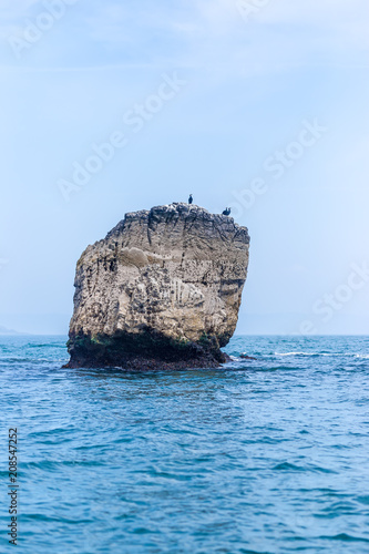 Birds on the rock in the sea near Caldey island in Wales photo