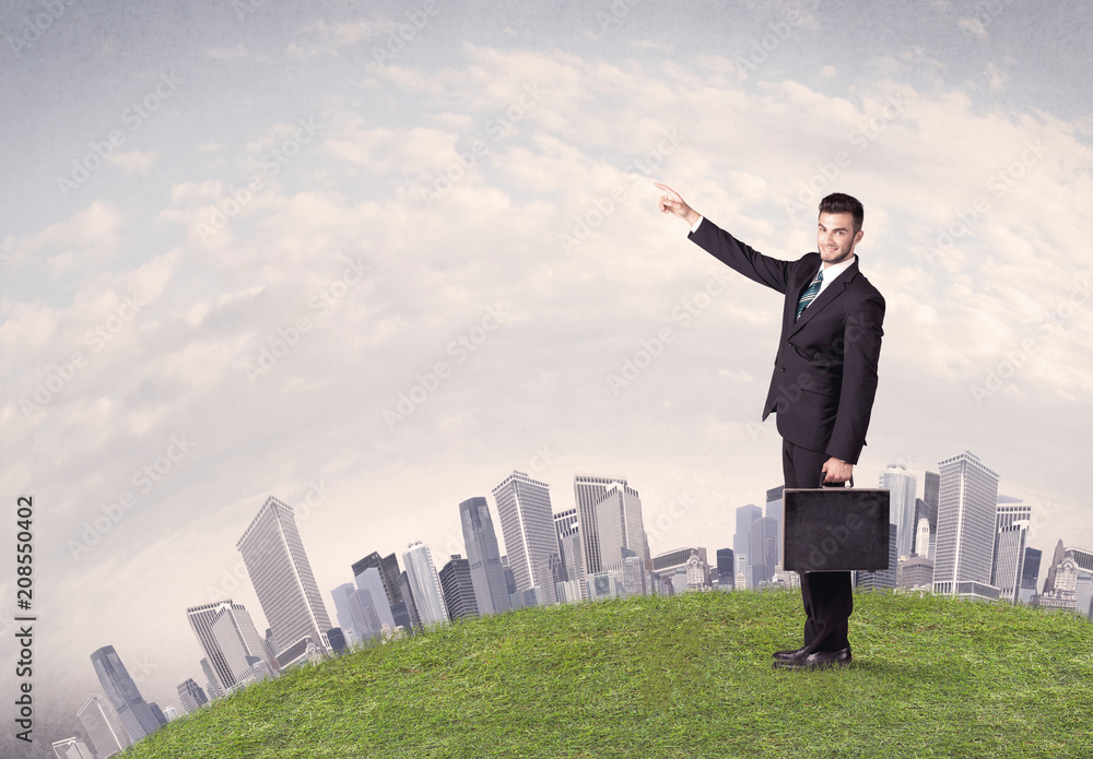 A successful male good looking business man standing in small green grass in front of city landscape with skyscrapers concept. A successful male good looking business man standing in small green grass in front of city landscape with skyscrapers concept.