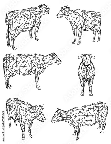 Cow polygonal lines illustration. Abstract vector cow on the white background