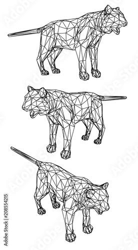 Tiger polygonal lines illustration. Abstract vector tiger on the white background
