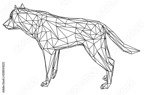 Wolf polygonal lines illustration. Abstract vector wolf on the white background