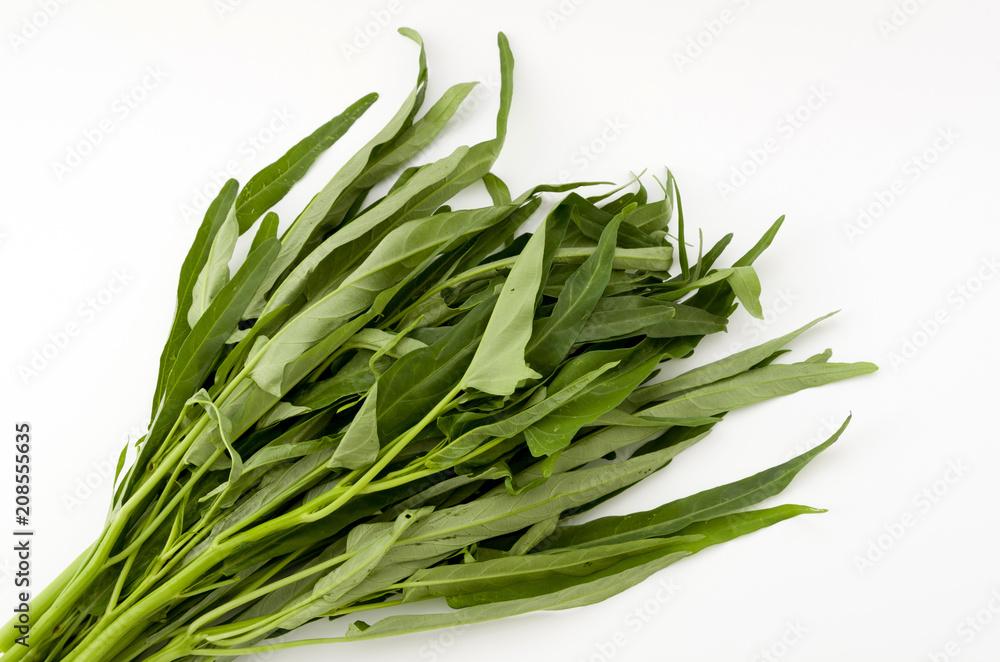 Fototapeta premium 空心菜(クウシンサイ)