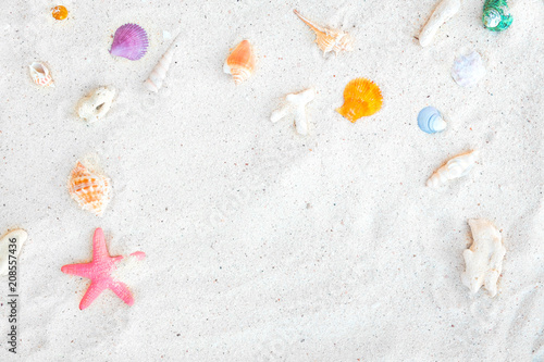 Beach background - top view of beach sand with shells and starfish. summer background concept.