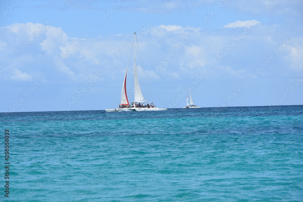 Fototapeta premium Barca