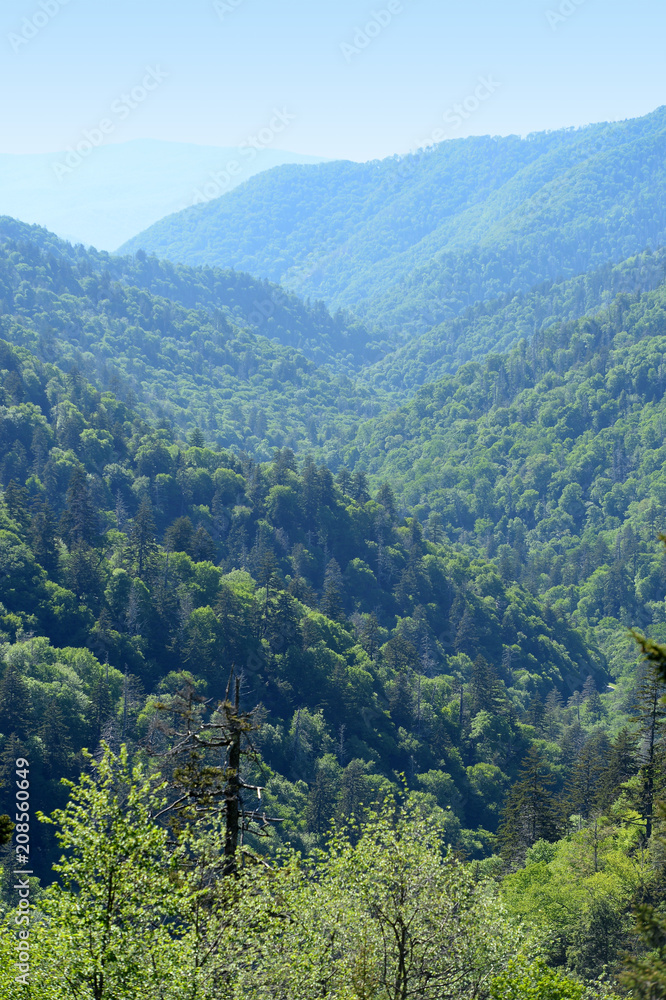 Fototapeta premium Smokey Mountains Near Gatlinburg Tennessee