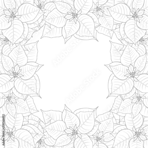Poinsettia Outline Border i...