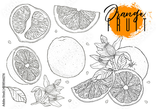 Ink hand drawn set of orange fruit. Food element collection. Vintage sketch. Black outline. Drawings of whole, half and sliced ripe oranges, juice, segment.