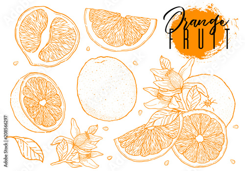 Ink hand drawn set of orange fruit. Food element collection. Vintage sketch. Color outline. Drawings of whole, half and sliced ripe oranges, juice, segment.