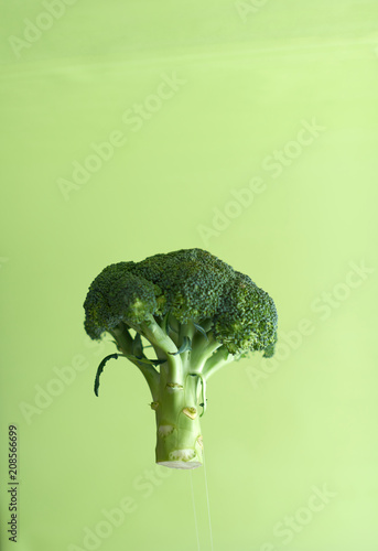 Broccoli in the air on a green background
