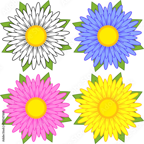 Set of white  blue  pink  yellow flowers on a white background