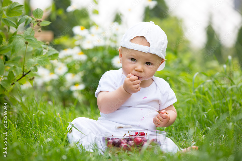 Sweet little child, baby boy, eating cherries in garden, enjoying tasty fruit Sweet little child, baby boy, eating cherries in garden, enjoying tasty fruit