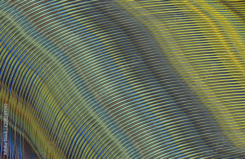 Wallpaper Mural Covers design,colorful gradients,future geometric patterns,modern abstract covers set,shapes and composition Torontodigital.ca