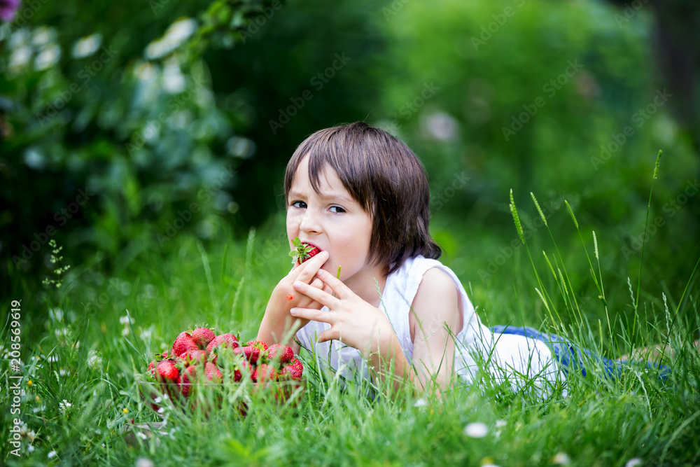Cute preschool child, boy, eating strawberries in a garden Cute preschool child, boy, eating strawberries in a garden