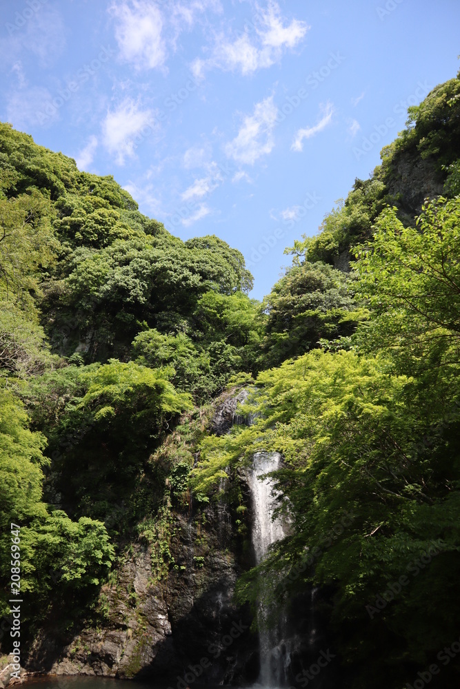 日本　箕面　滝