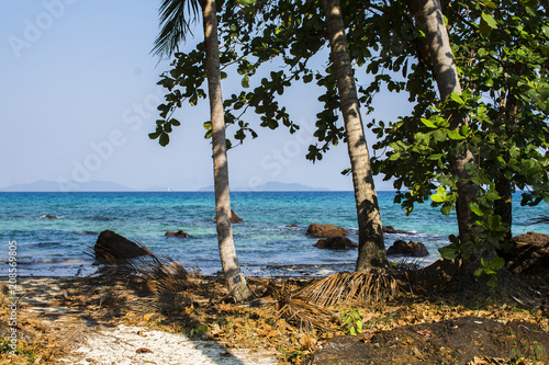 Tree at a sand beach with clear sea water and blue sky. Island in Gulf of Thailand.