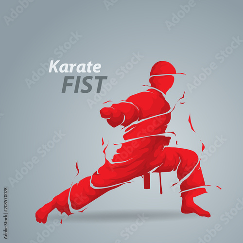 karate fist splash silhouette