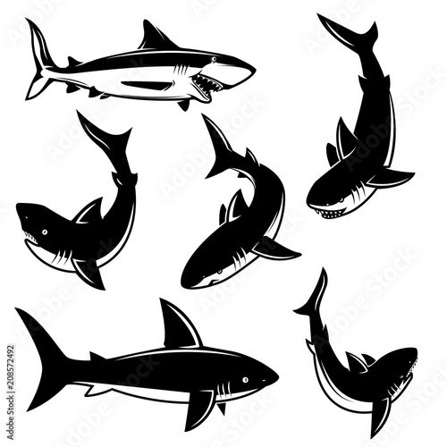 Set of shark illustrations. Design element for poster, print, emblem, sign.