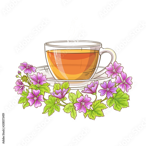 malva tea illustration