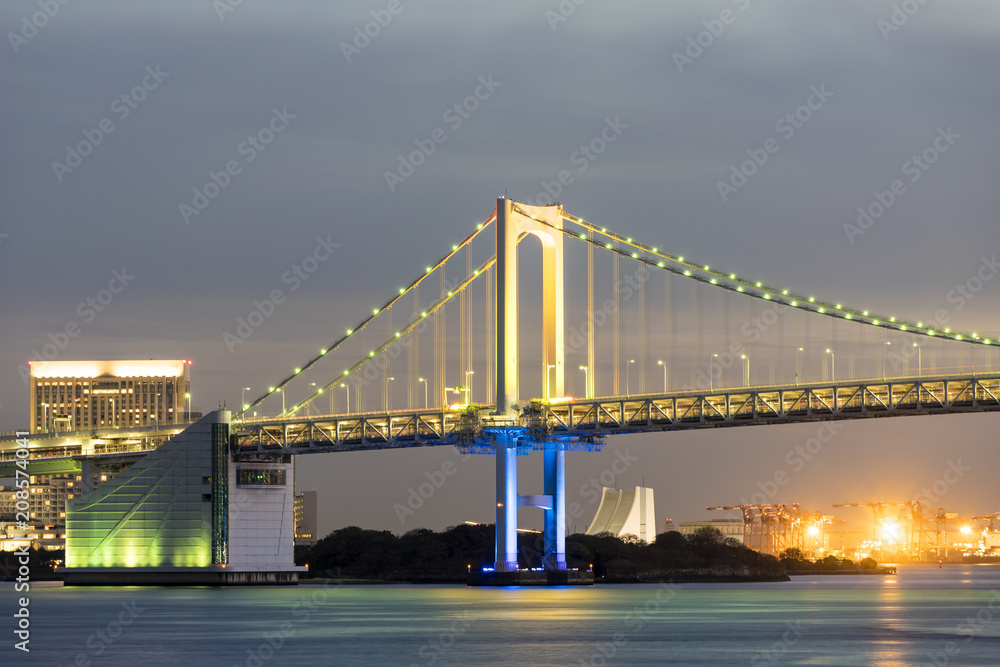 Fototapeta premium ライトアップしたレインボーブリッジ