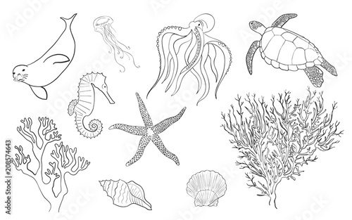 Hand drawn lineart sea life set  vector