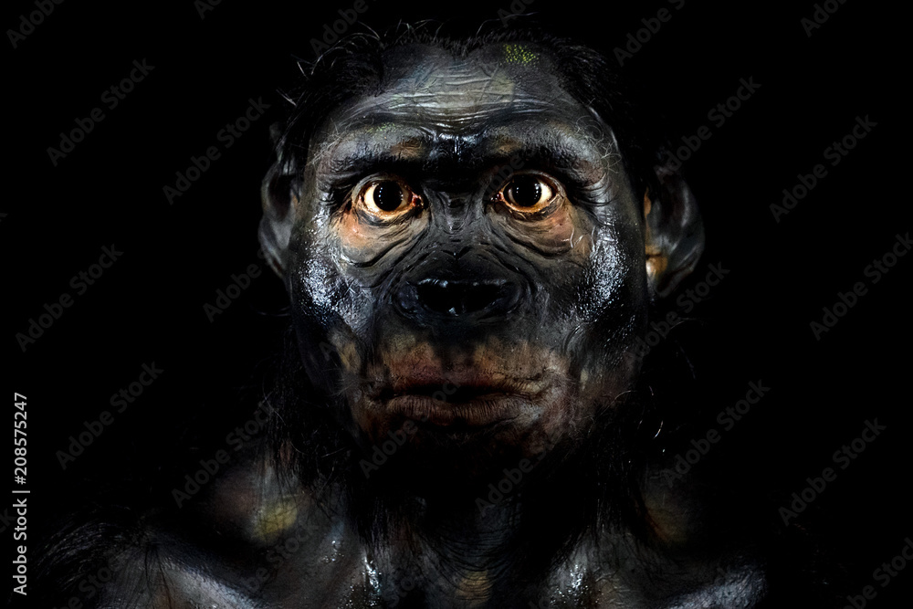 Neanderthal man isolated on black Stock Photo | Adobe Stock