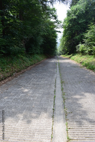 alte Steilstrecke Nürburgring Nordschleife 06/18 photo