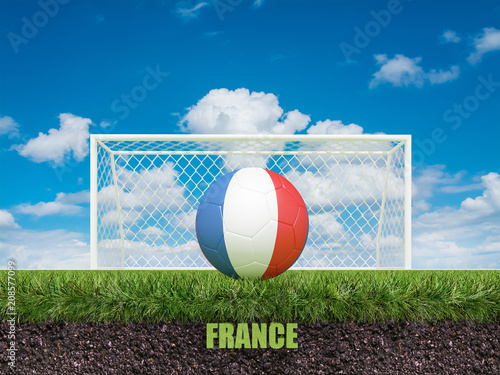 France football  on football or soccer field ,3d photo