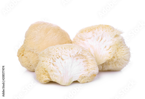 mokey head mushroom , lion mane or yamabushitake isolated on white background photo
