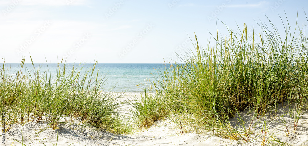 Obraz premium Weg zum Strand