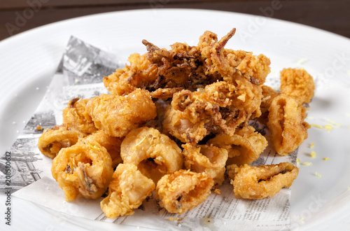 Konstfotografi Fried calamari