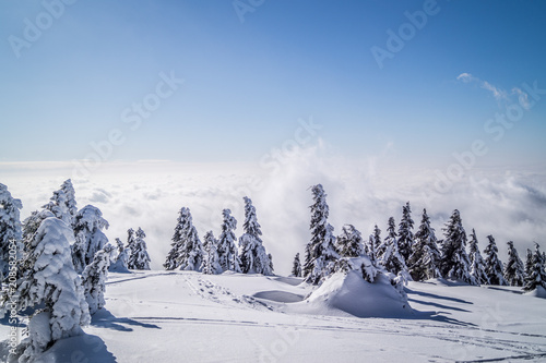 Sonne und Schnee in den Bergen © Denis Feldmann