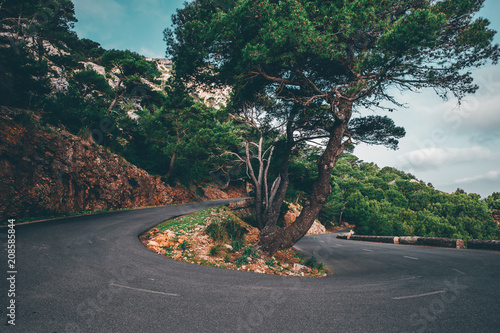 Strassen Kurven und Allee unterwegs auf Mallorca abenteuer photo