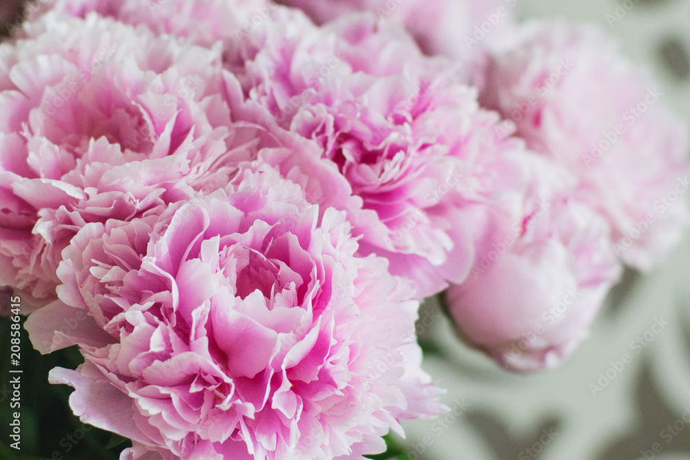Fototapeta Elegant bouquet of a lot of peonies of pink color close up. Beautiful flower for any holiday. Lots of pretty and romantic flowers in floral shop.